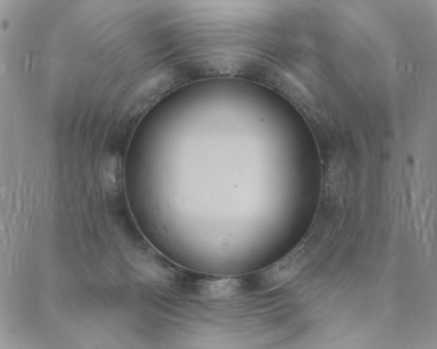 X0000089740122200706211512