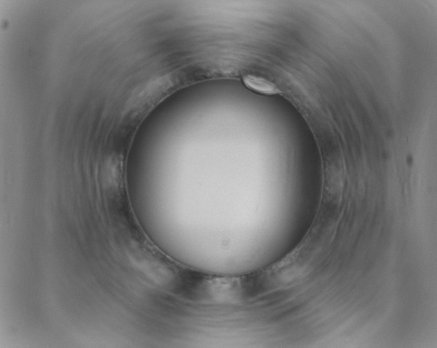 X0000089740126200706211511