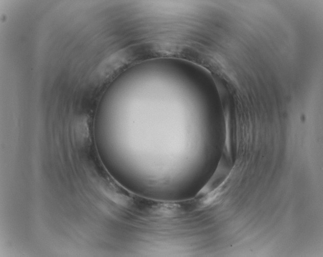 X0000089740128200706211511