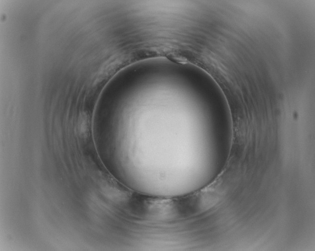 X0000089740132200706211511