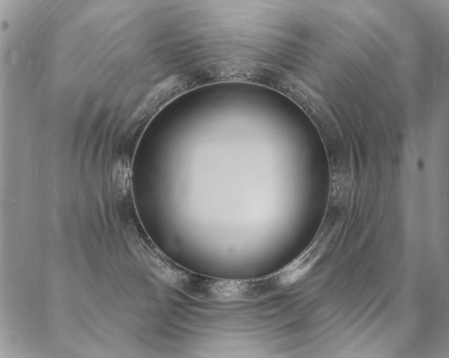 X0000089740142200706211511