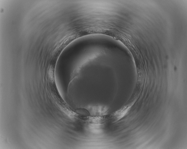 X0000089740143200706211511