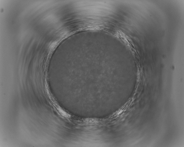 X0000089740145200706211510