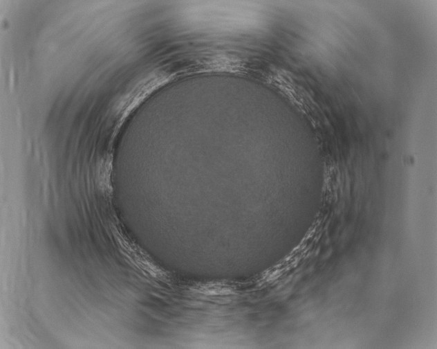 X0000089740146200706211510