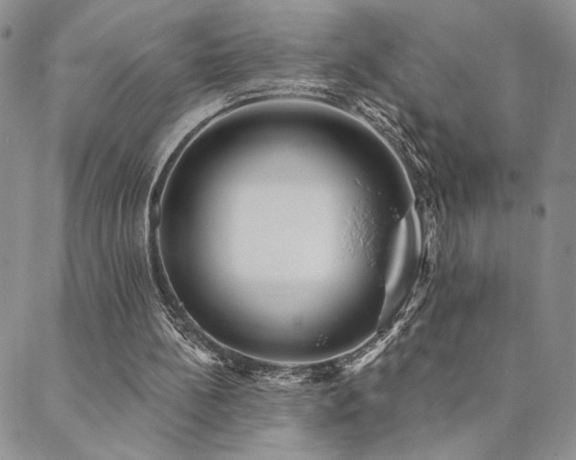 X0000089740148200706211510