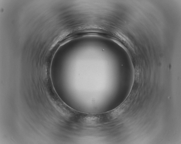 X0000089740158200706211511