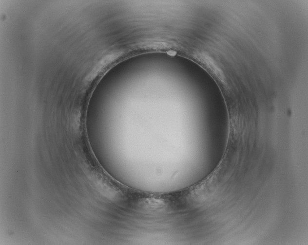 X0000089740159200706211511
