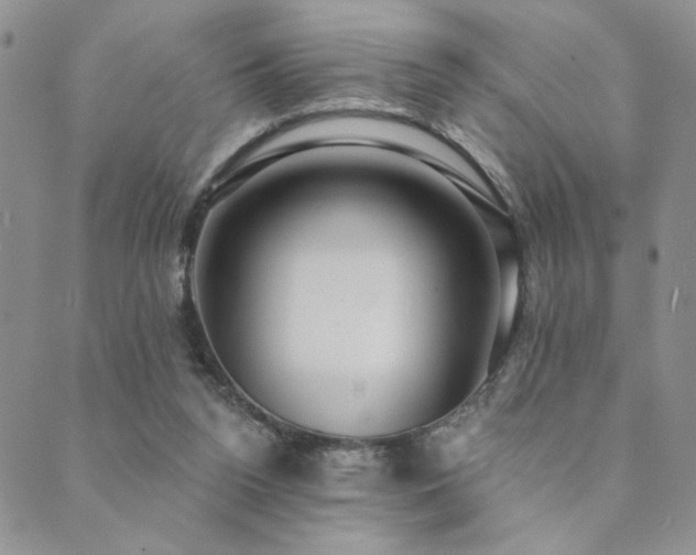 X0000089740160200706211511