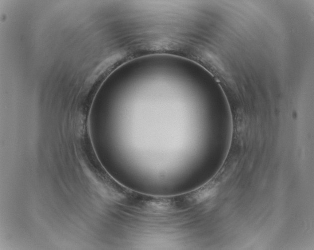 X0000089740164200706211511