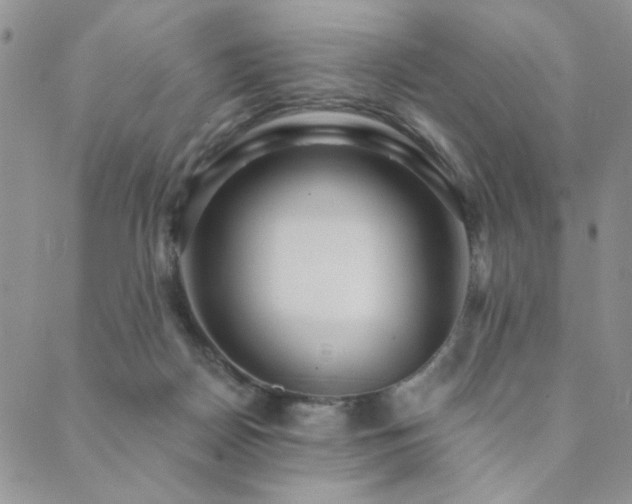 X0000089740170200706211511
