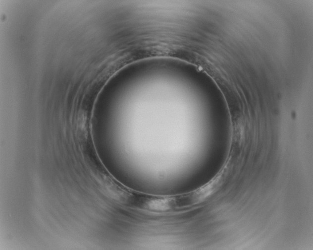 X0000089740178200706211511