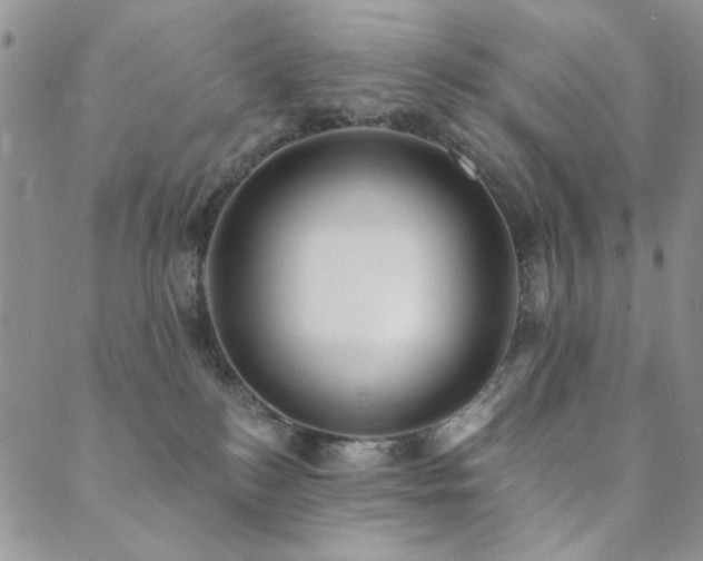 X0000089740184200706211511