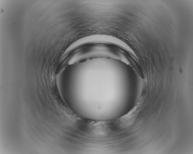X0000089740186200706211511