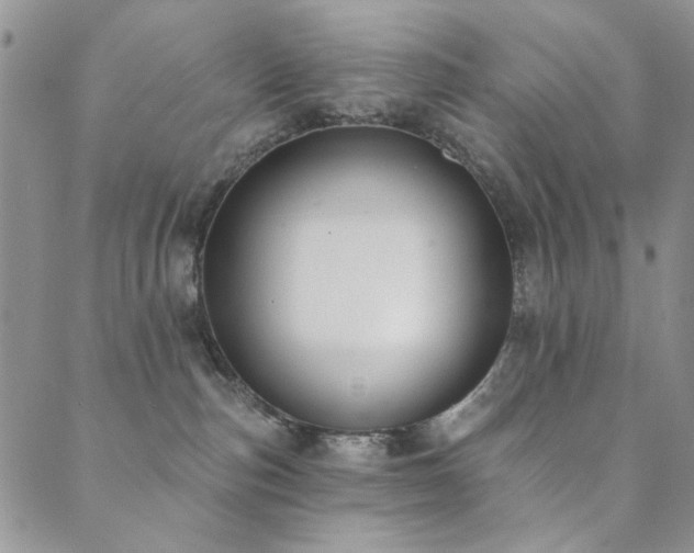 X0000089740187200706211511