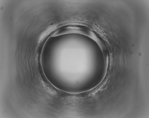 X0000089740197200706211510