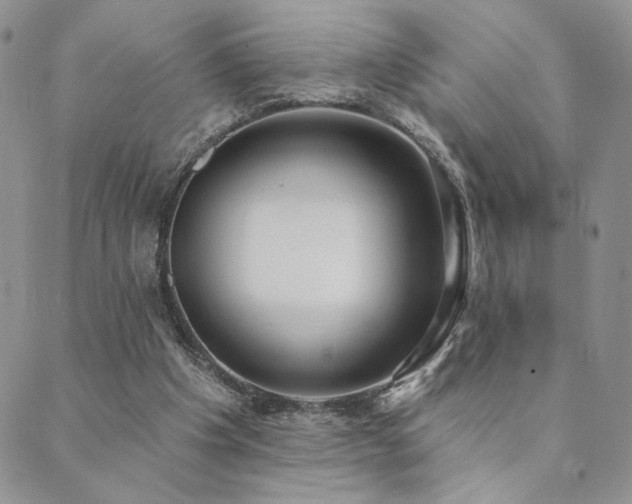 X0000089740201200706211510