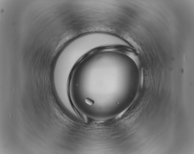 X0000089740207200706211510