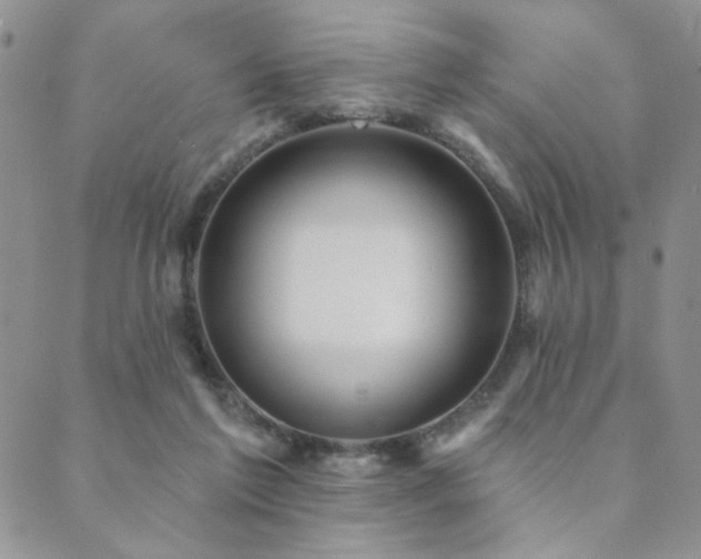 X0000089740213200706211510