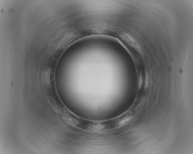 X0000089740217200706211510