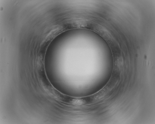 X0000089740218200706211510