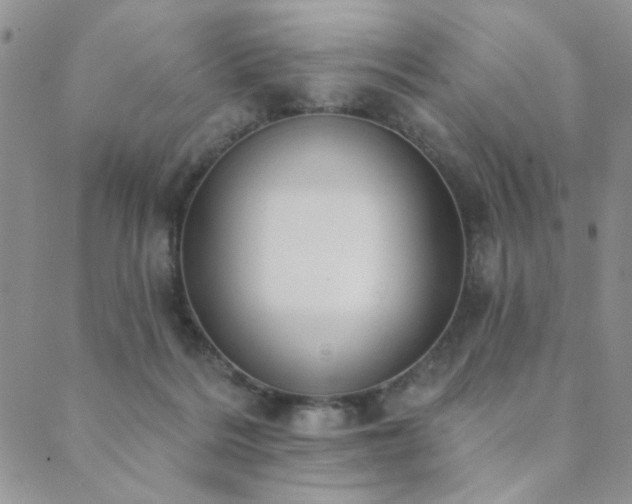 X0000089740220200706211510