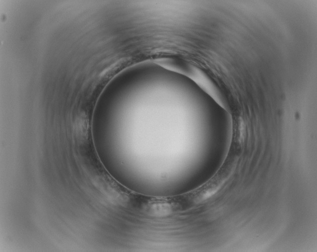 X0000089740228200706211510