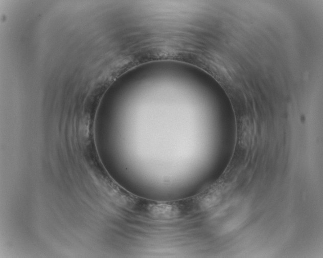 X0000089740230200706211510