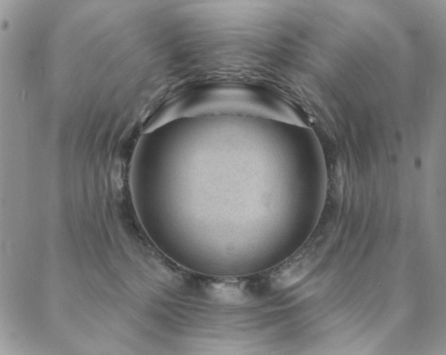 X0000089740232200706211510