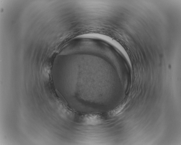 X0000089740235200706211510