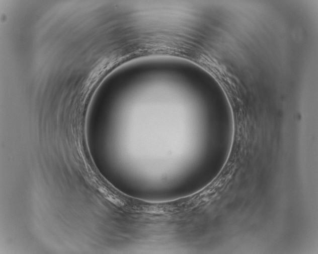 X0000089740241200706211509