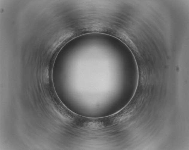 X0000089740251200706211509