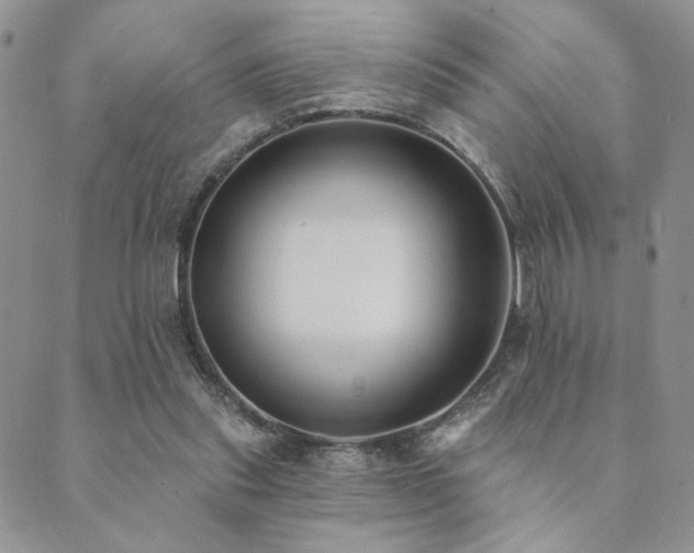 X0000089740253200706211509