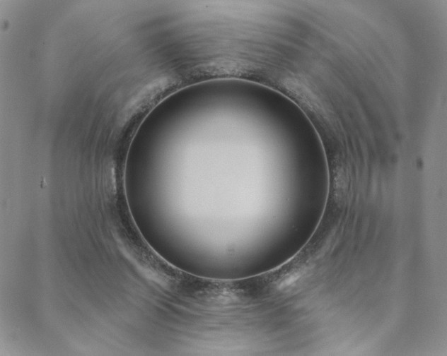 X0000089740254200706211509