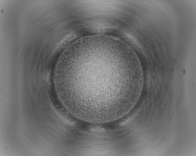 X0000089740258200706211509