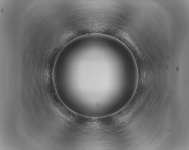 X0000089740259200706211509