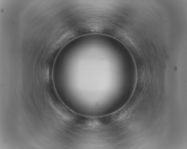 X0000089740262200706211509