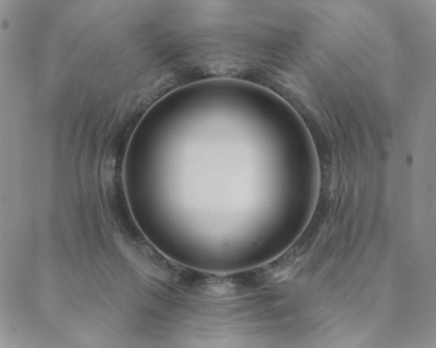 X0000089740263200706211509