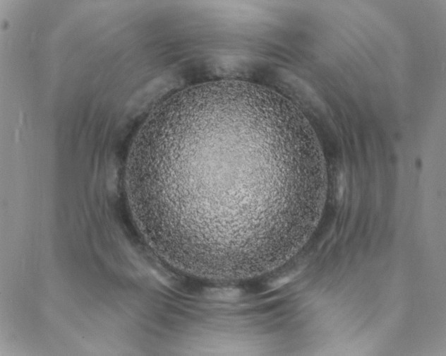 X0000089740266200706211509