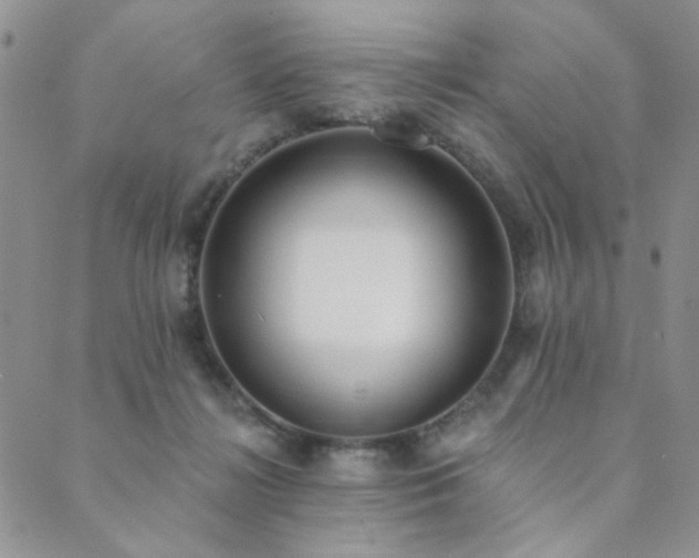 X0000089740268200706211509