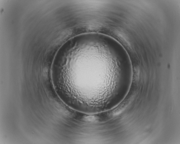 X0000089740269200706211509