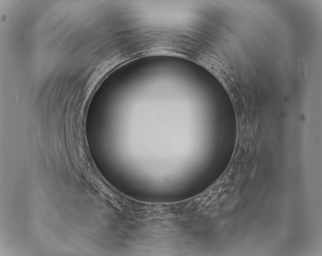 X0000089740289200706211509