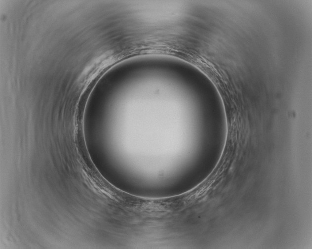 X0000089740290200706211509