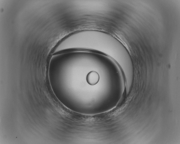 X0000089740301200706211509