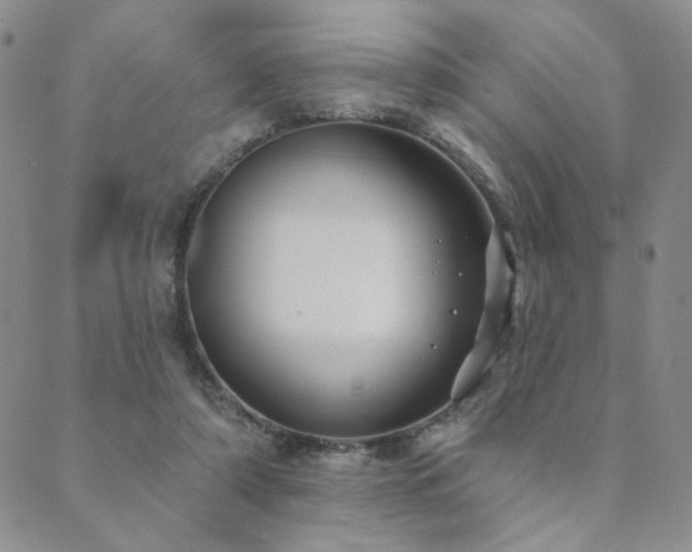 X0000089740306200706211508