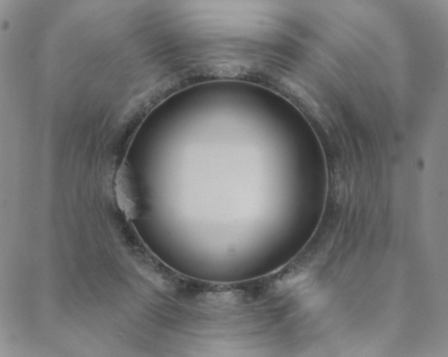 X0000089740307200706211508