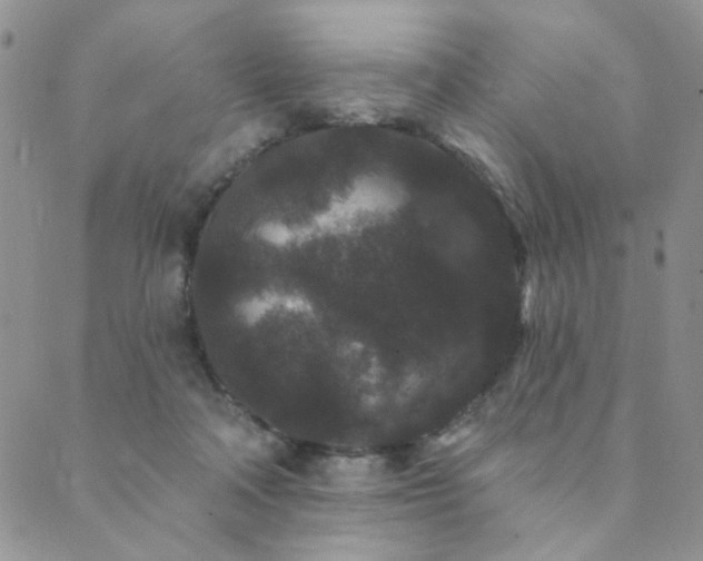 X0000089740314200706211508