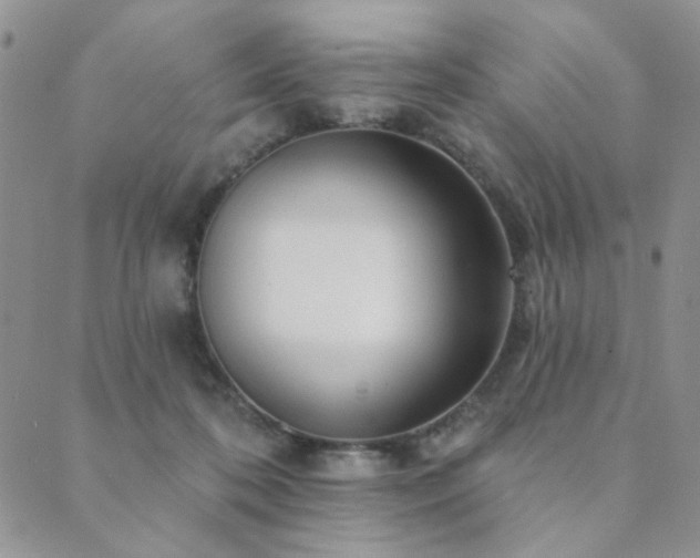 X0000089740316200706211508