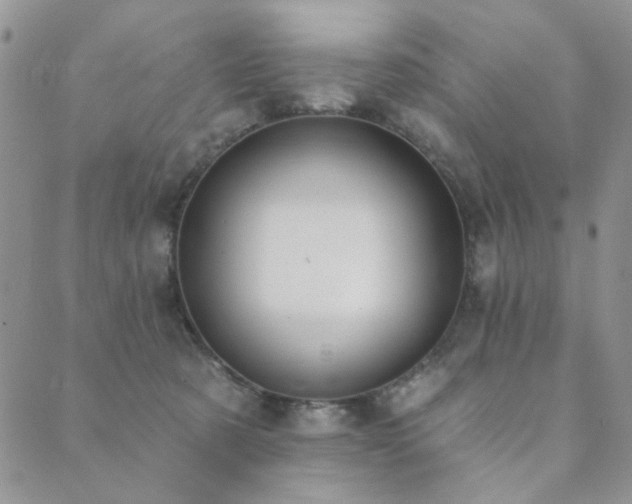 X0000089740321200706211508