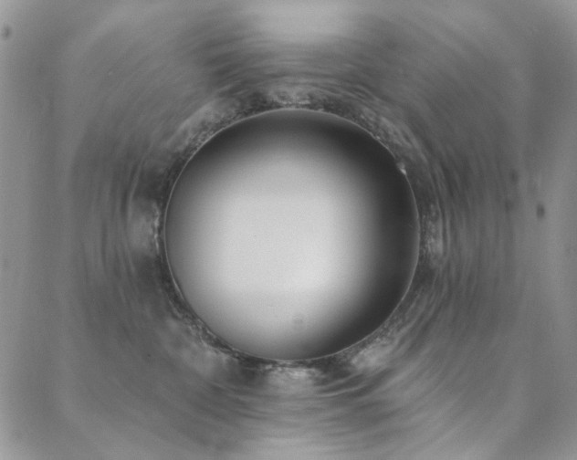 X0000089740332200706211508