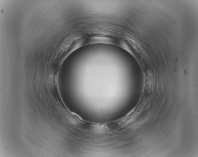 X0000089740333200706211508